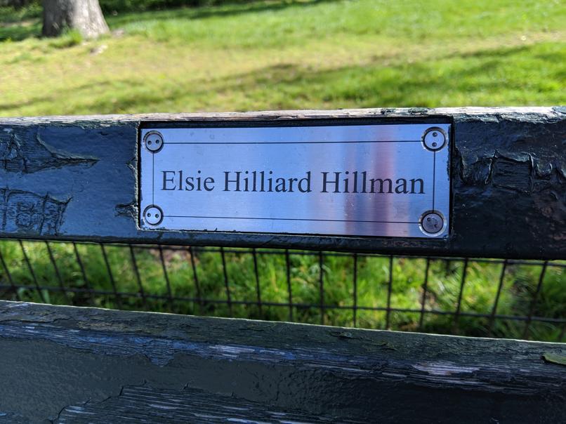 I saw this bench in Central Park