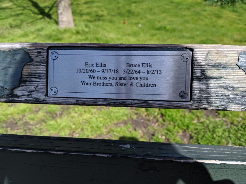 I saw this bench in Central Park