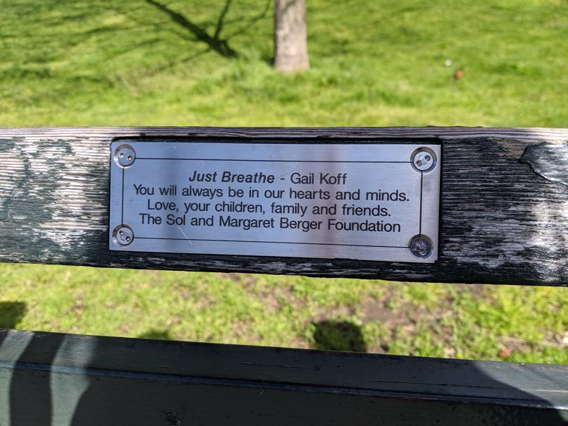 I saw this bench in Central Park