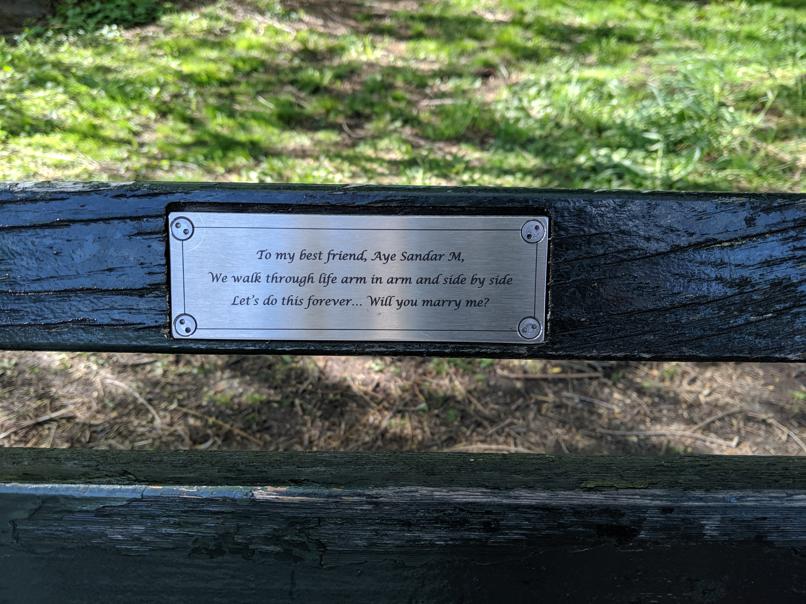 I saw this bench in Central Park