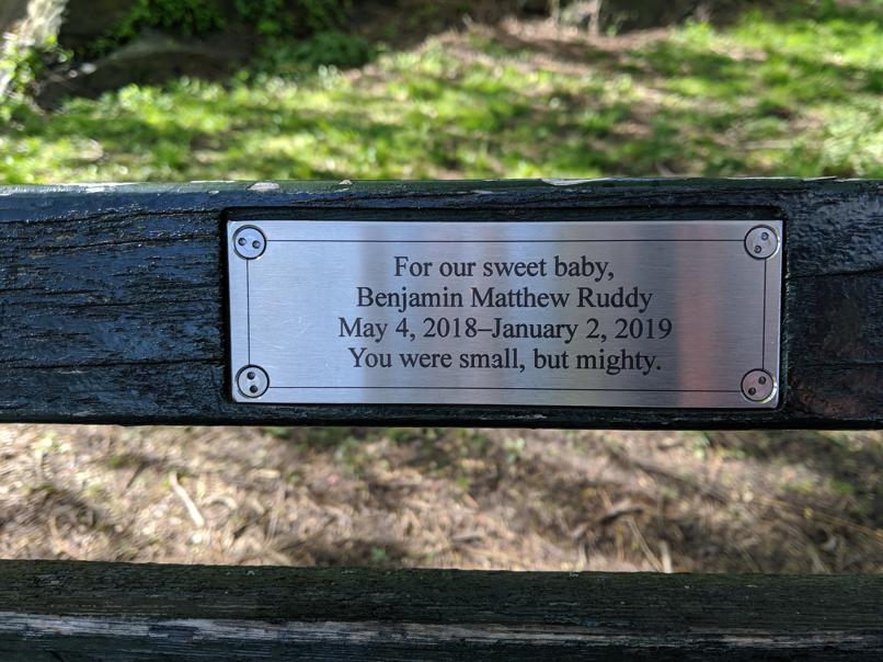 I saw this bench in Central Park