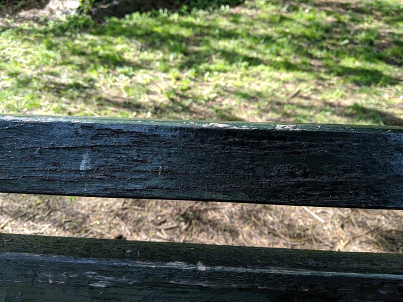 I saw this bench in Central Park