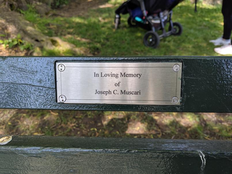 I saw this bench in Central Park