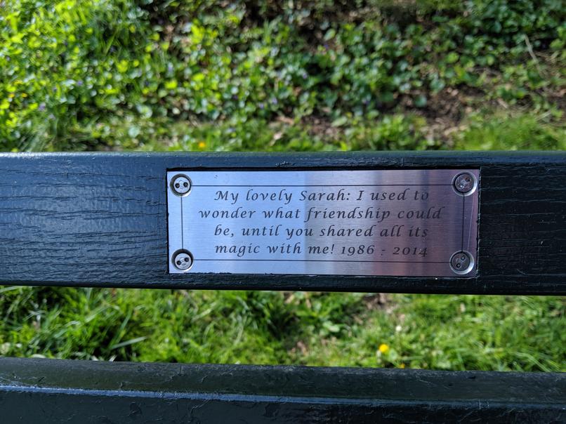 I saw this bench in Central Park