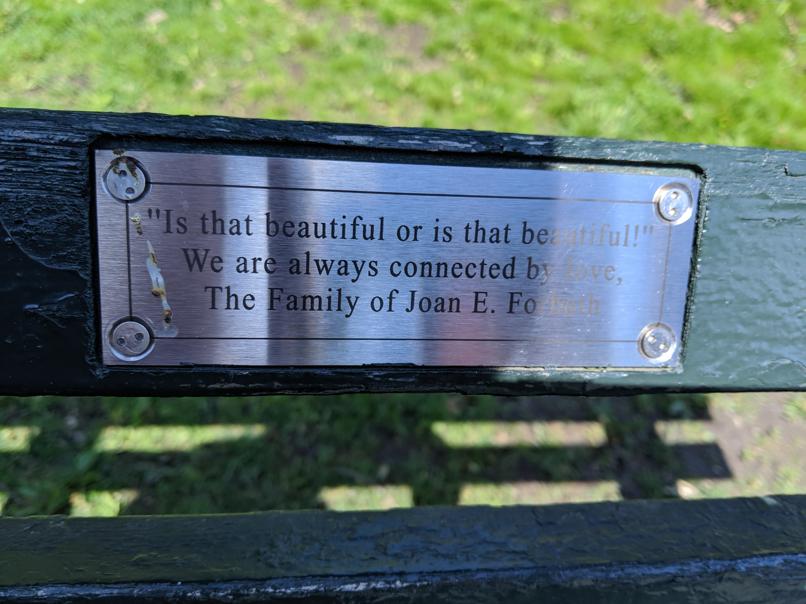 I saw this bench in Central Park