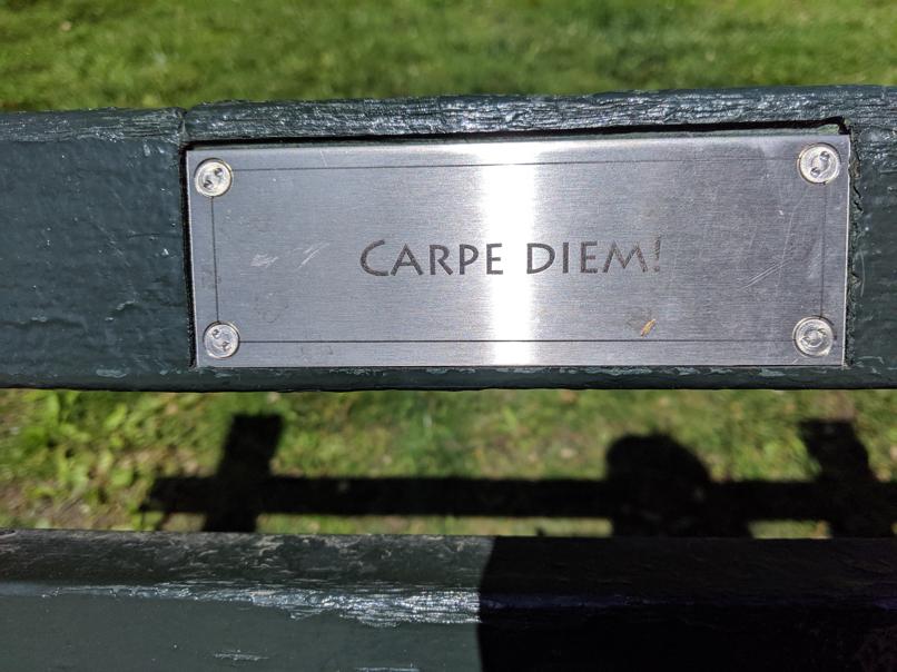 I saw this bench in Central Park