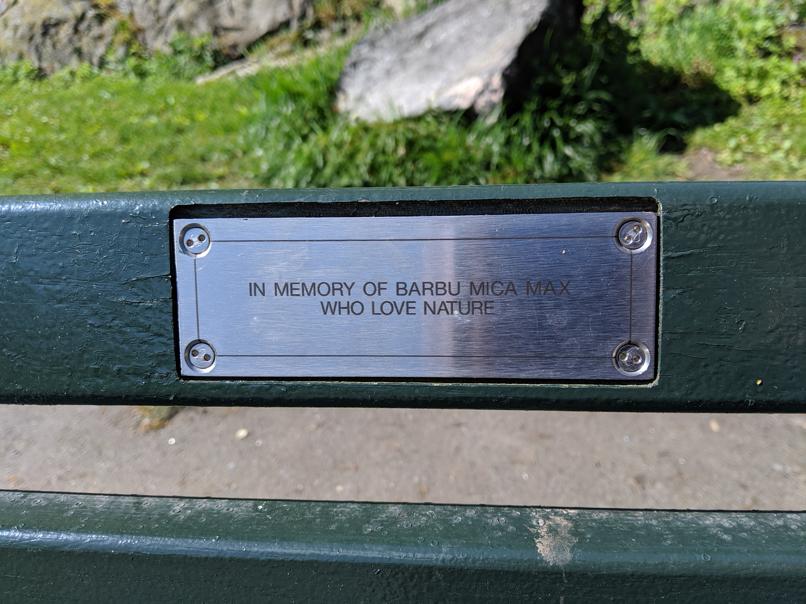 I saw this bench in Central Park