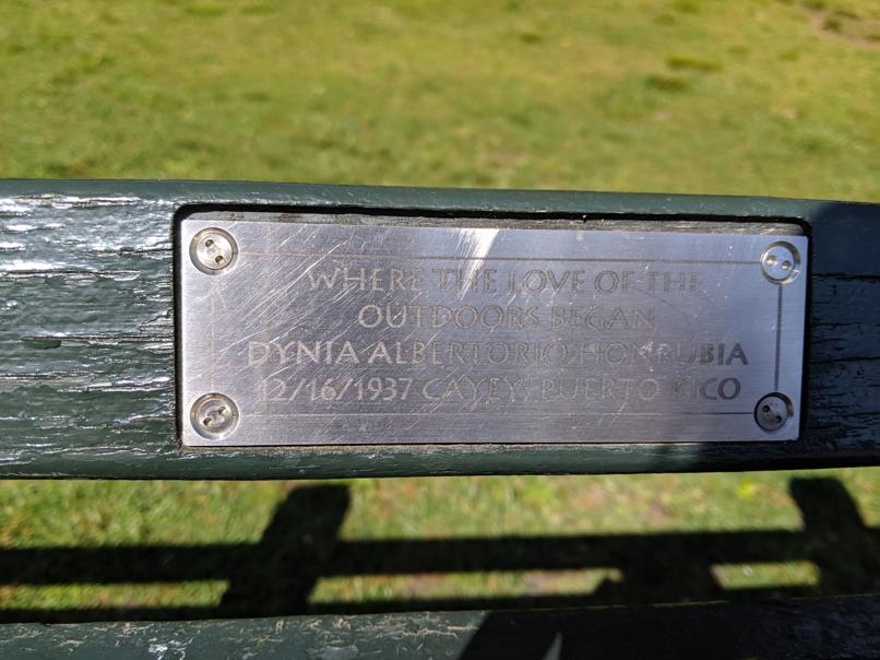 I saw this bench in Central Park