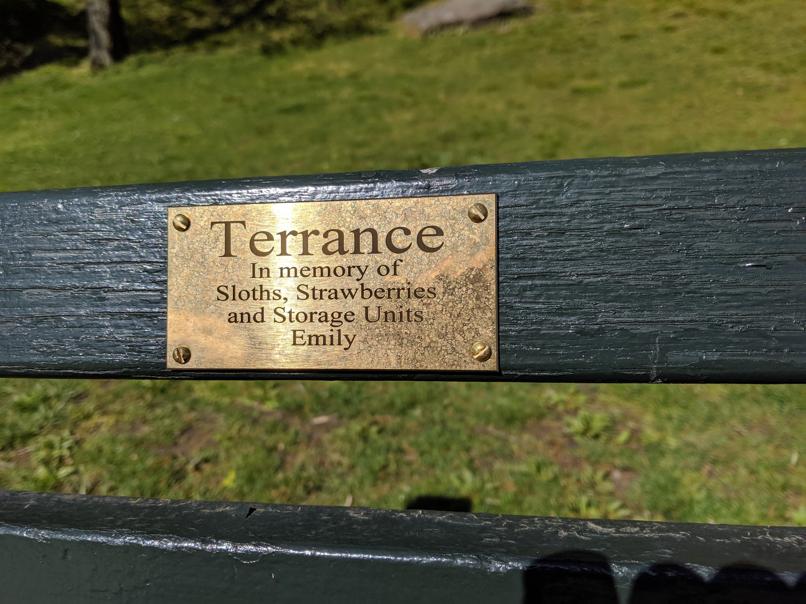 I saw this bench in Central Park