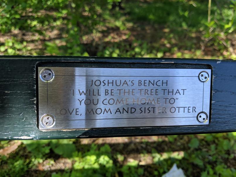 I saw this bench in Central Park