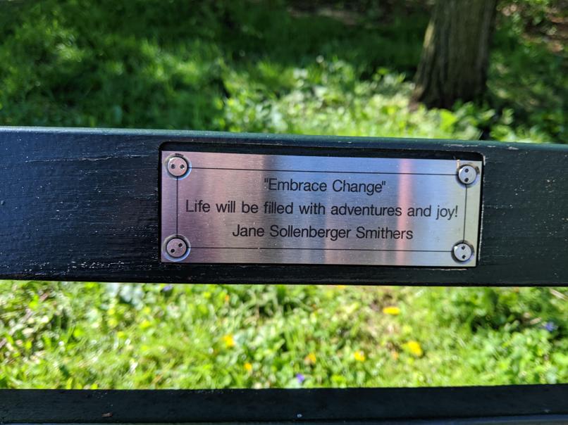 I saw this bench in Central Park