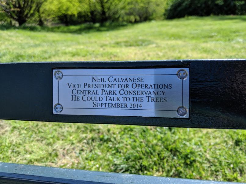 I saw this bench in Central Park