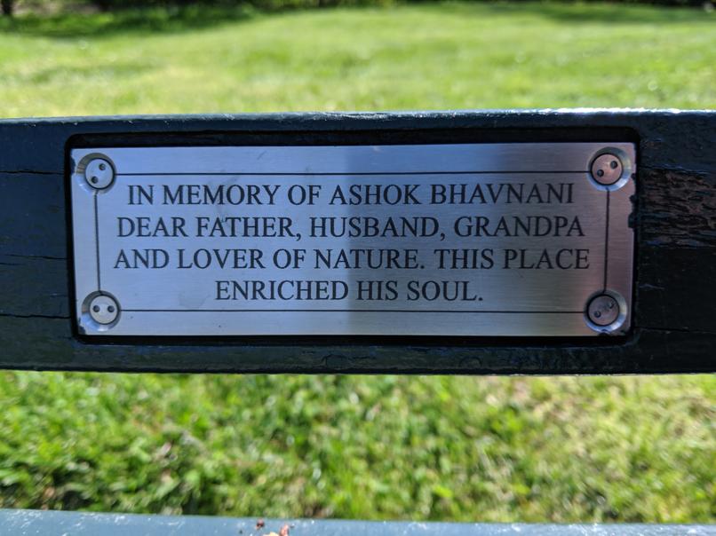 I saw this bench in Central Park