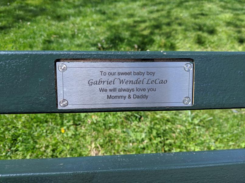 I saw this bench in Central Park