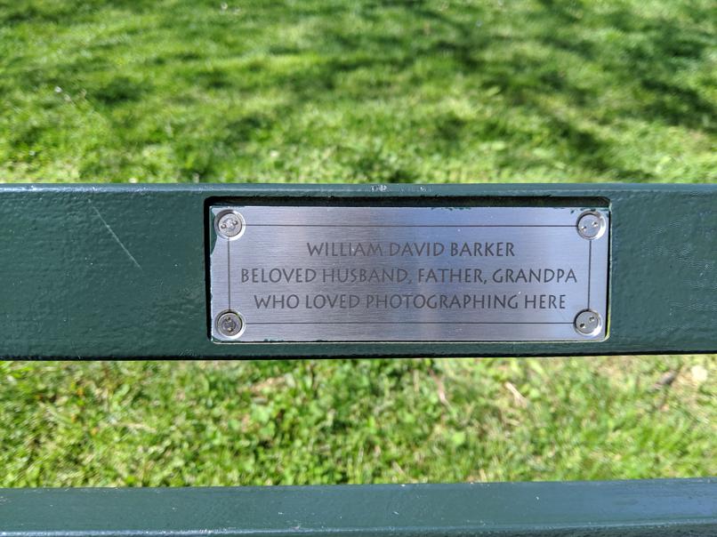 I saw this bench in Central Park