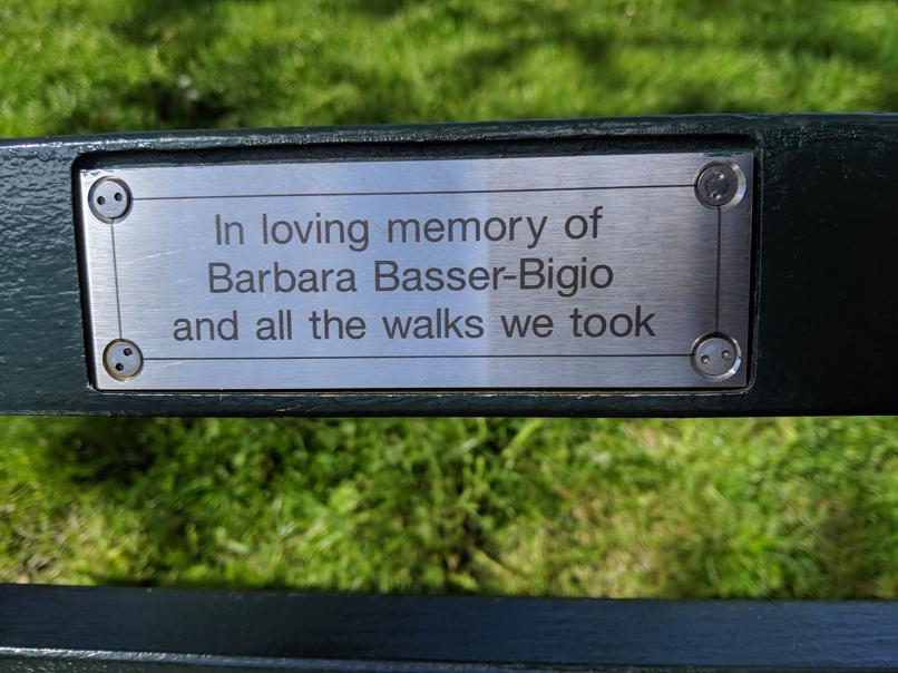 I saw this bench in Central Park