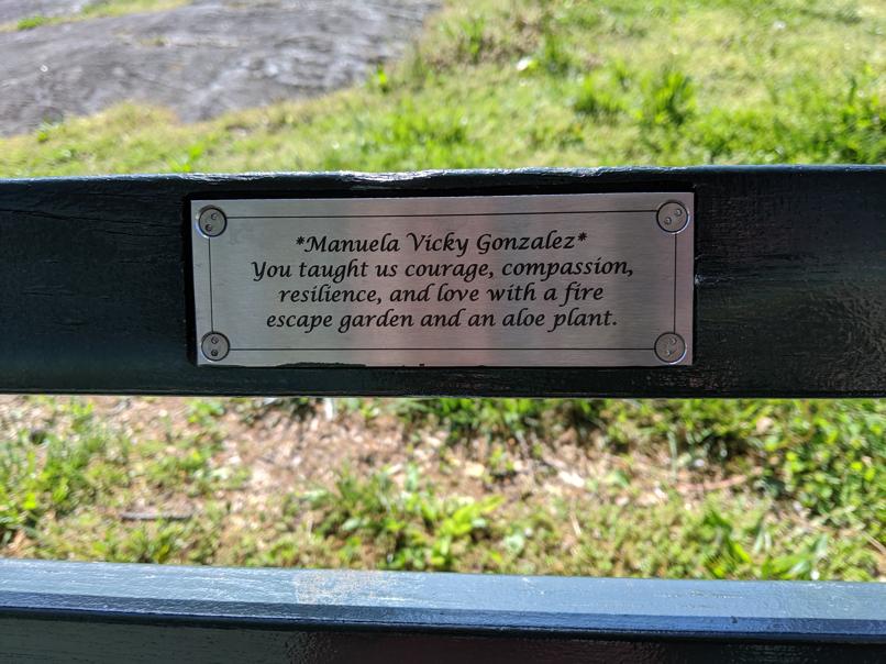 I saw this bench in Central Park