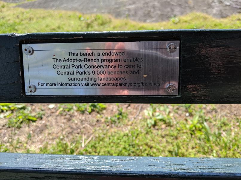 I saw this bench in Central Park