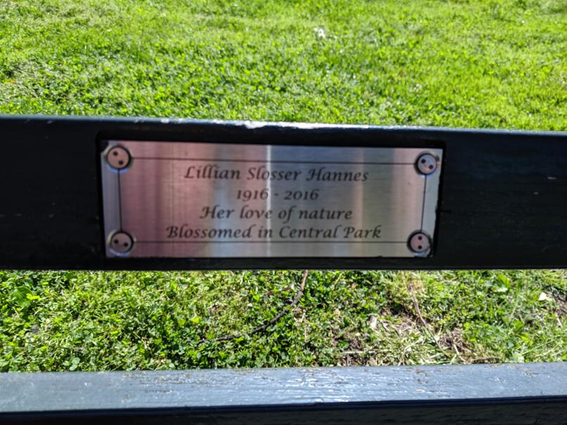 I saw this bench in Central Park