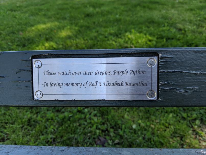 I saw this bench in Central Park