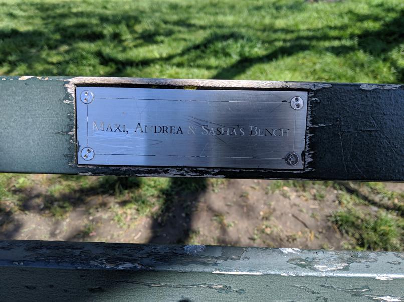 I saw this bench in Central Park