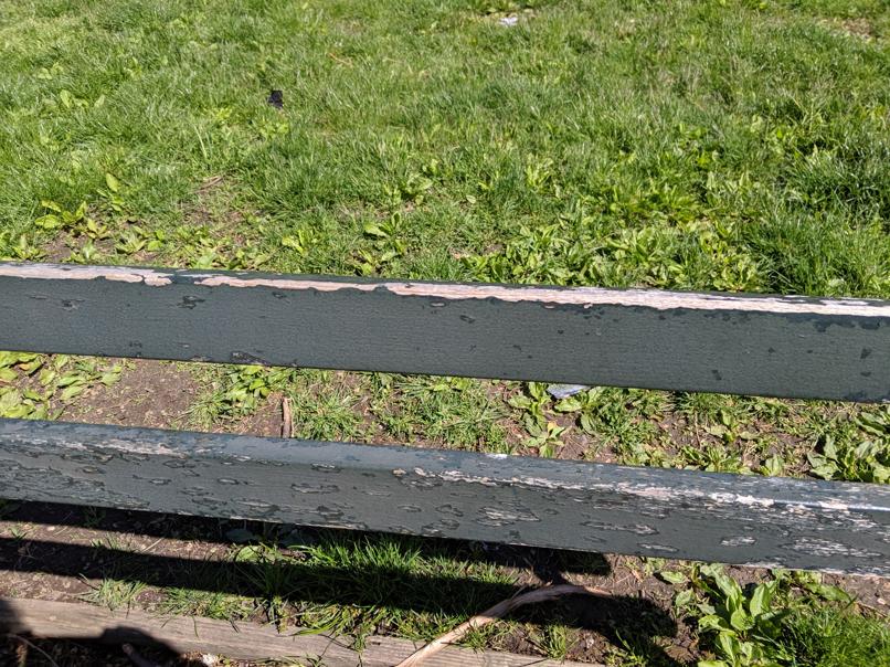 I saw this bench in Central Park