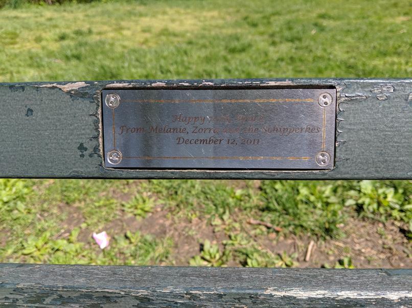 I saw this bench in Central Park