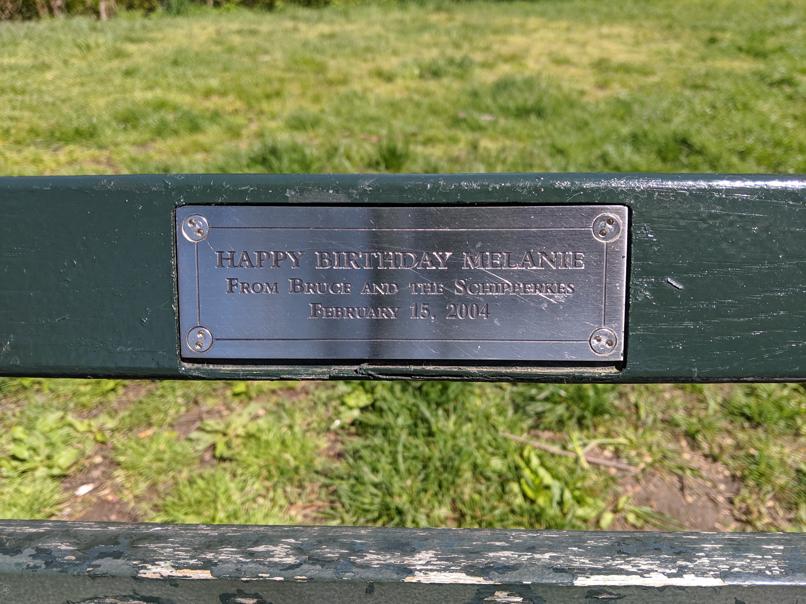 I saw this bench in Central Park