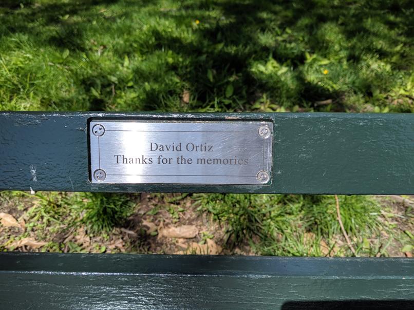 I saw this bench in Central Park