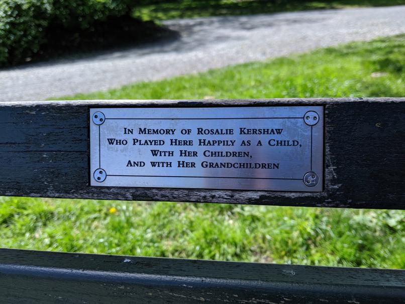 I saw this bench in Central Park