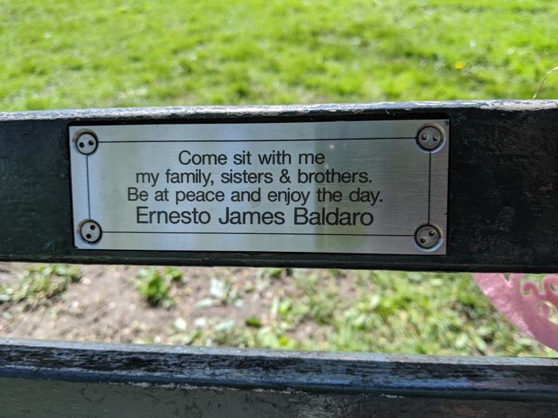 I saw this bench in Central Park