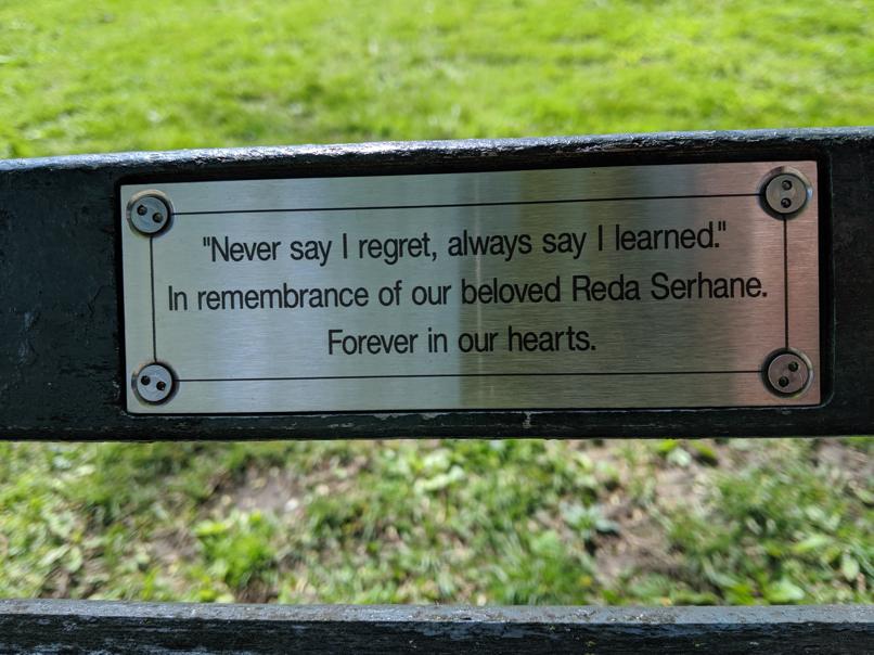 I saw this bench in Central Park