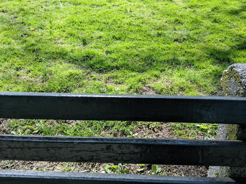 I saw this bench in Central Park