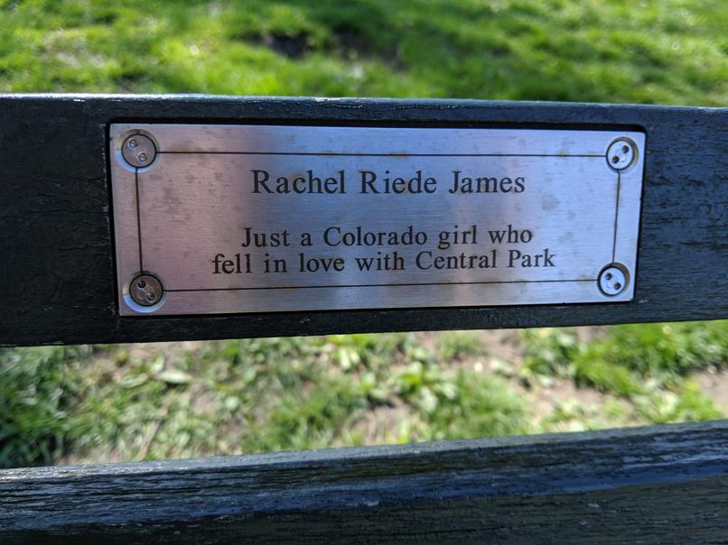 I saw this bench in Central Park