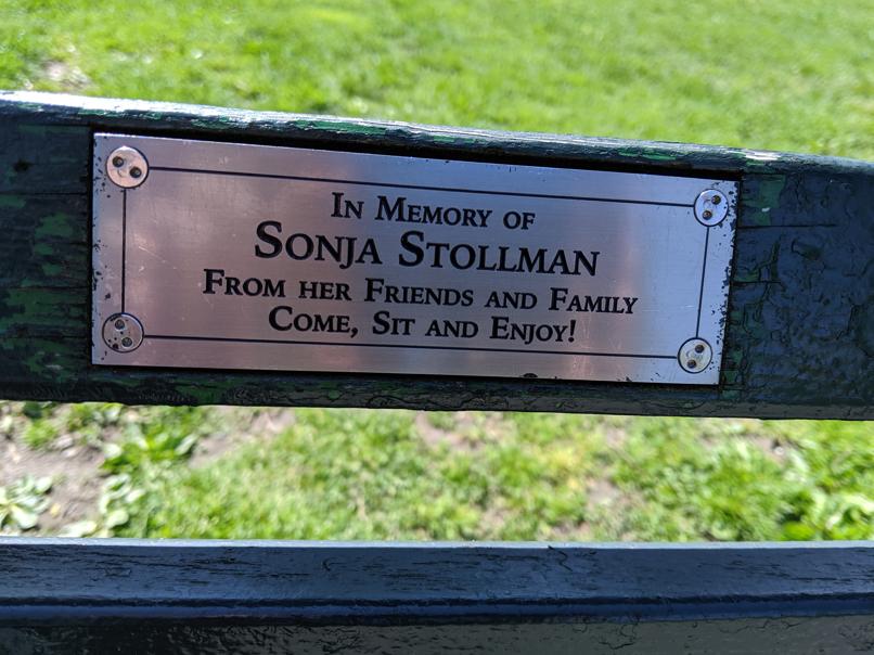 I saw this bench in Central Park