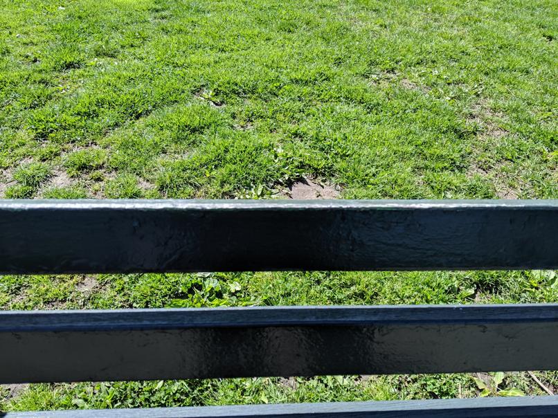 I saw this bench in Central Park