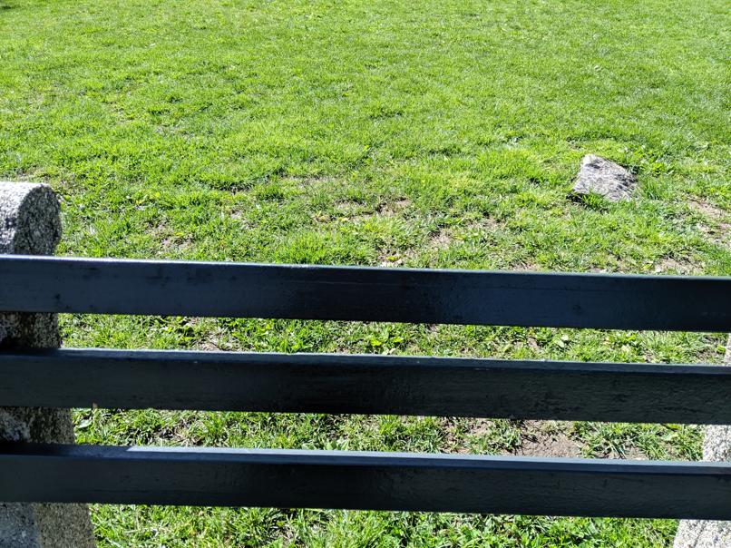 I saw this bench in Central Park