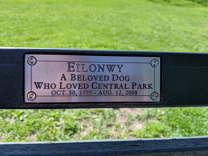 I saw this bench in Central Park