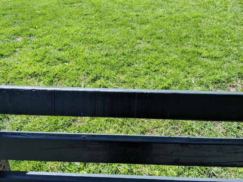 I saw this bench in Central Park