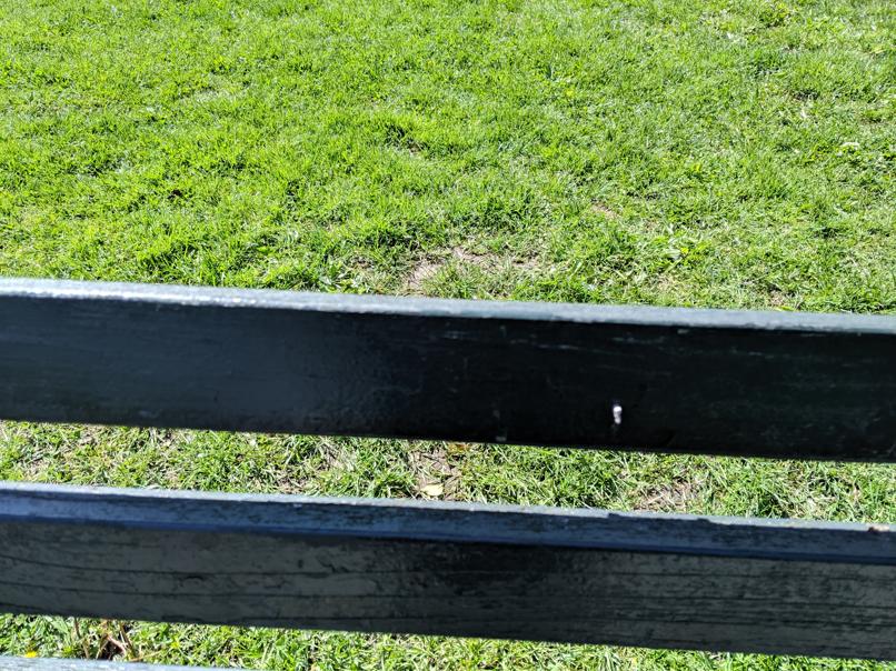 I saw this bench in Central Park