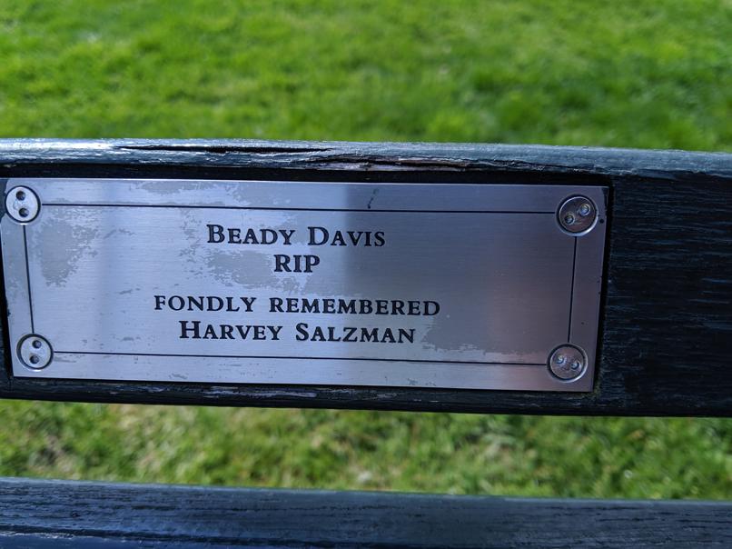 I saw this bench in Central Park