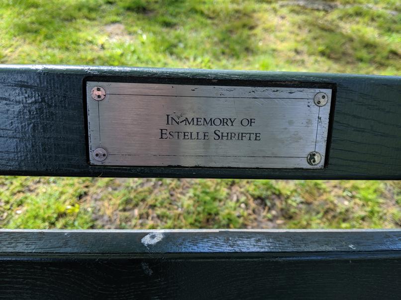 I saw this bench in Central Park