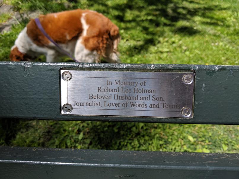 I saw this bench in Central Park