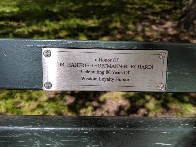 I saw this bench in Central Park