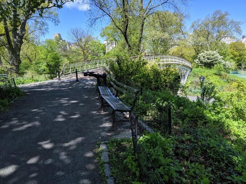 I saw this bench in Central Park