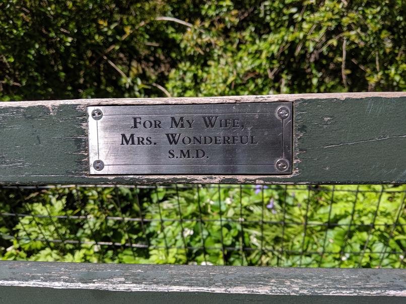 I saw this bench in Central Park