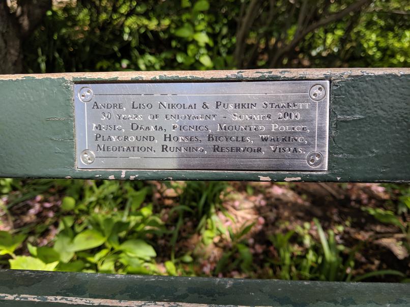 I saw this bench in Central Park