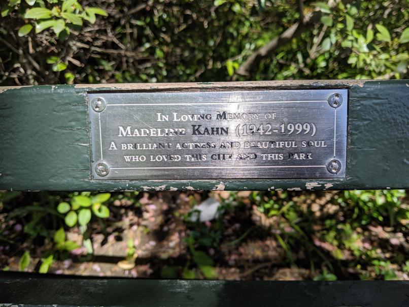 I saw this bench in Central Park