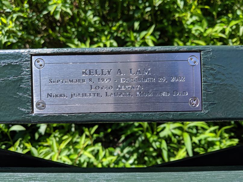 I saw this bench in Central Park