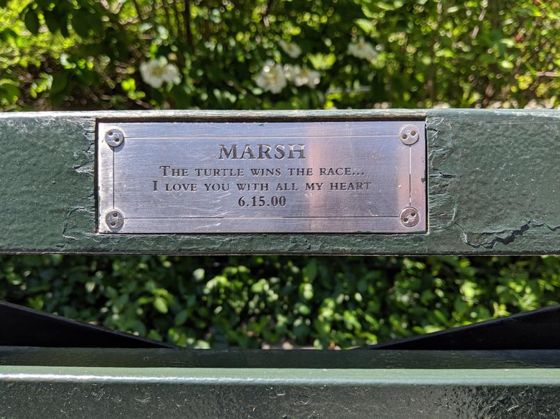 I saw this bench in Central Park